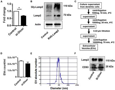 Engineered Extracellular Vesicles Loaded With miR-124 Attenuate Cocaine-Mediated Activation of Microglia